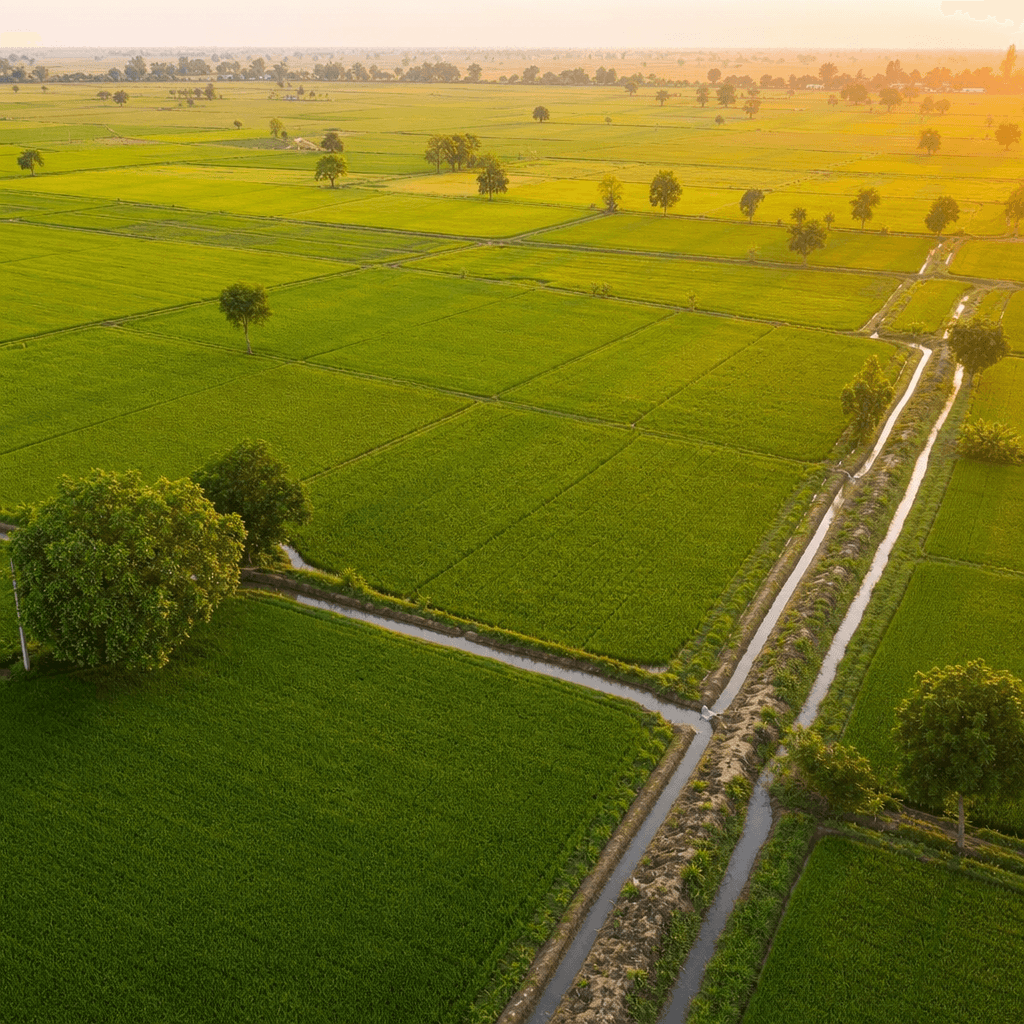 Agricultural Land